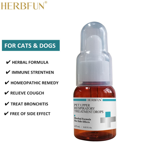 pet cough relief, dogs medicine, bronchitis treatment for pets