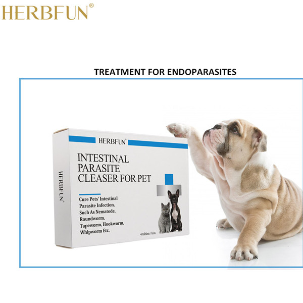 pet intestinal parasites remedy, dog endoparasites medicine, dog dewormer