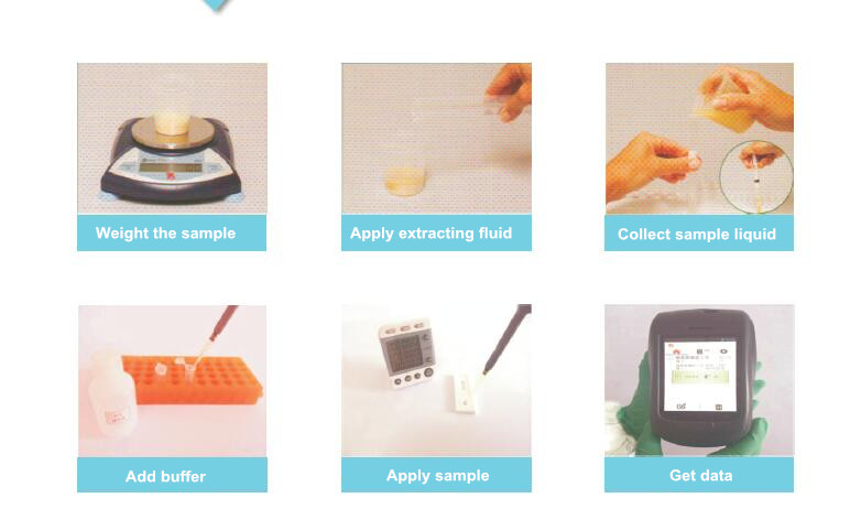 Mycotoxin Quantitative Detection Method